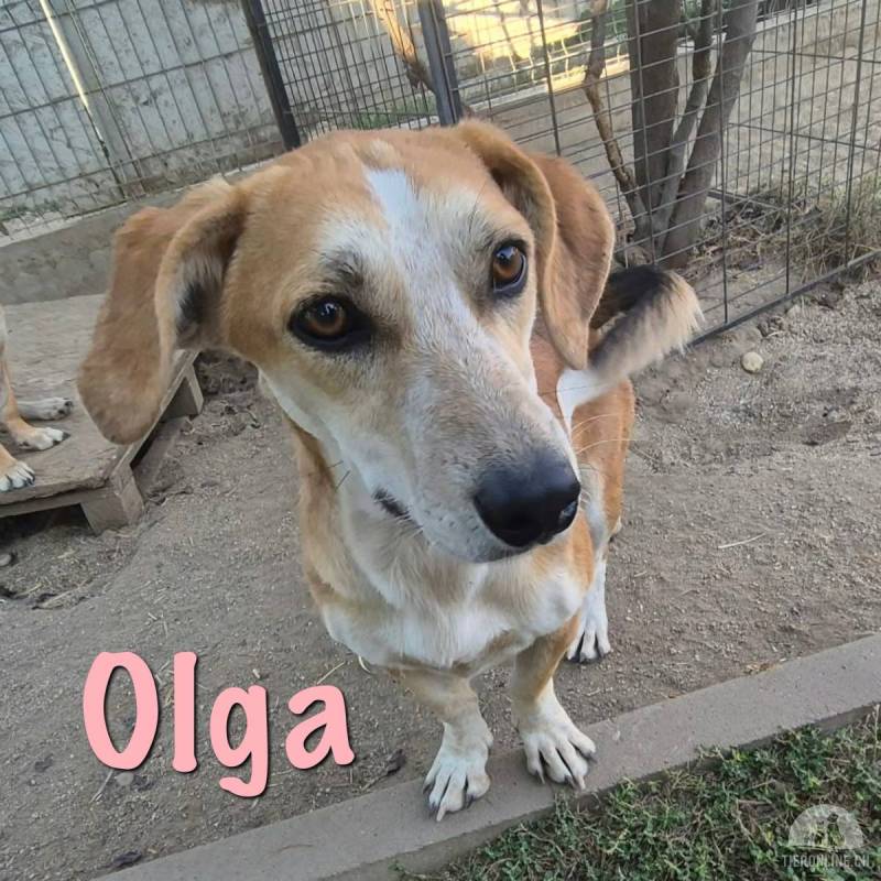 Olga ist bereit für IHRE Familie