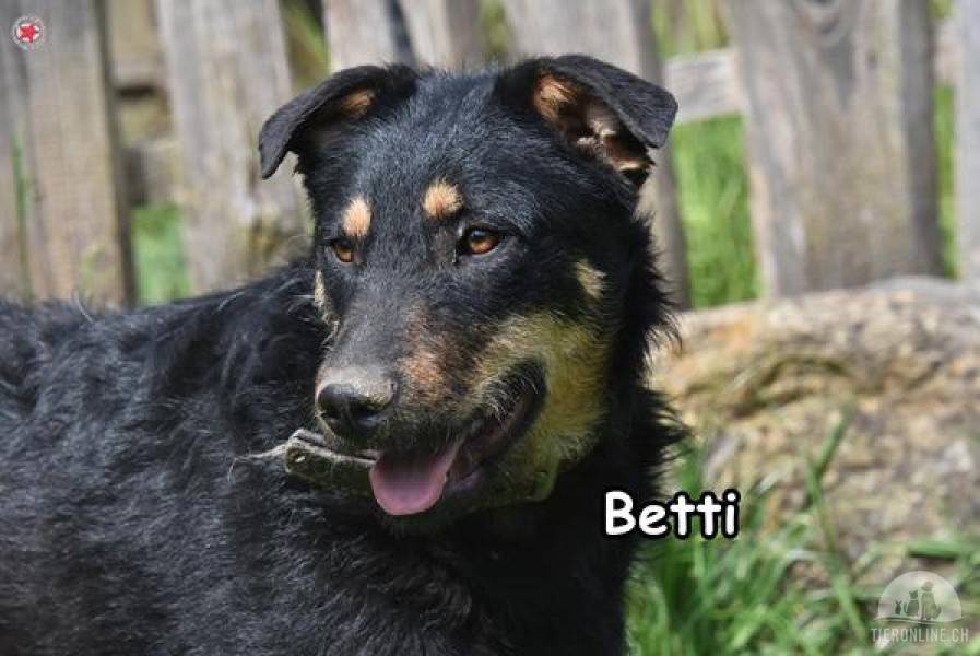 Betti