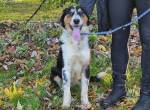 Flynn – Nagyatad
