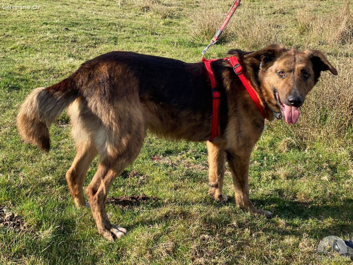 Paola - ein Jahrzehnt voller Liebe