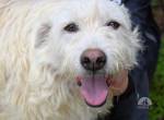 Gatsby - der große Gatsby sucht seine Daisy
