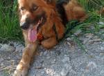 Ulisse, eine  Adoption des Herzens