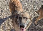 Wilma (4-5 Jahre) Sonnenschein sucht Familie mit Herz