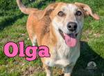 Olga ist bereit für IHRE Familie