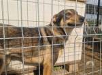 Layla - pure Lebenslust im Rampenlicht