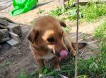 Lilu- kleines herzsucht wieder einen Platz zum Ankommen