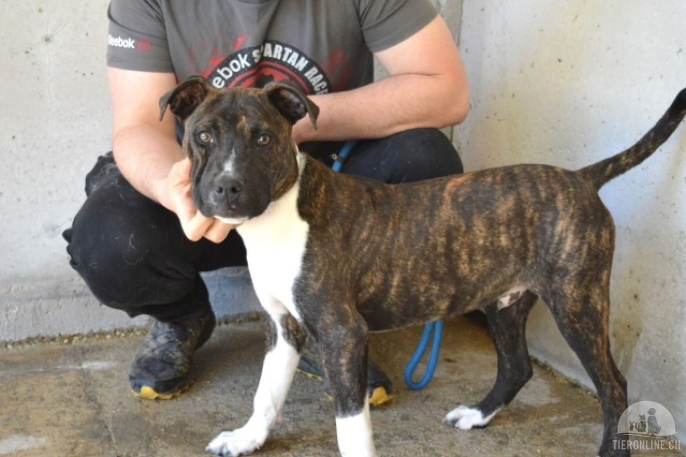 Aiko - Zwei Brüder auf der Suche nach Geborgenheit
