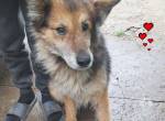Der sanfte Bruno sucht seine Familie