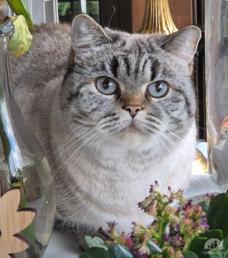 Carla sucht dringend einen Einzelplatz
