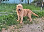 Jonne sucht seine Familie