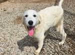 Betty: wer zeigt mir die bunte Welt?