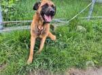 Zuhause gesucht für Caleb
