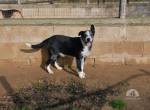 Radar sucht ein Zuhause!