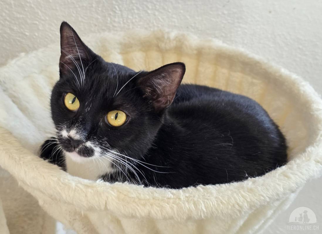 Schnurrsula (1,5 Jahre) sucht ihr Glück