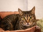 Krümel (1,5 Jahre) wartet auf dich