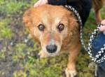 Rhonda sucht Altersruhesitz