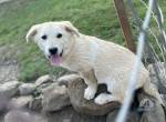 Hübsche Stella sucht Familie