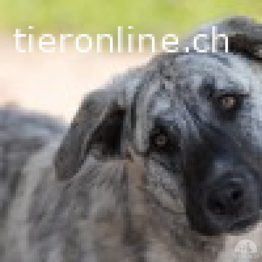 Lebensfrohe, aktive Onna sucht ihre Menschen