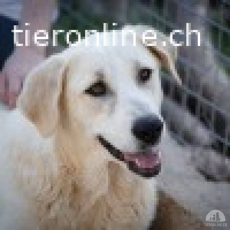 Fröhliche, aufgeschlossene Agatha sucht ihre Menschen