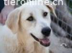 Fröhliche, aufgeschlossene Agatha sucht ihre Menschen