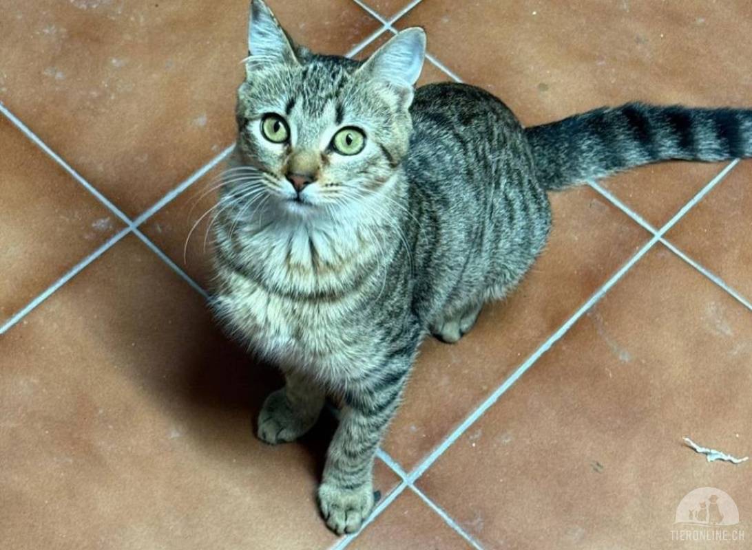 Bella sucht ihr Happy End: Nach grossem Kampf bereit fürs ganz grosse Glück!