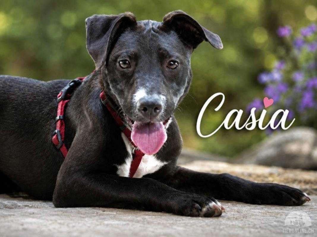 Casia – eine kleine Entdeckerin