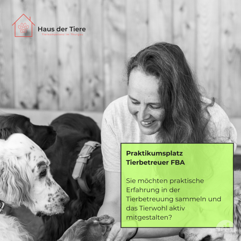 Praktikumsstelle Tierbetreuer/in FBA