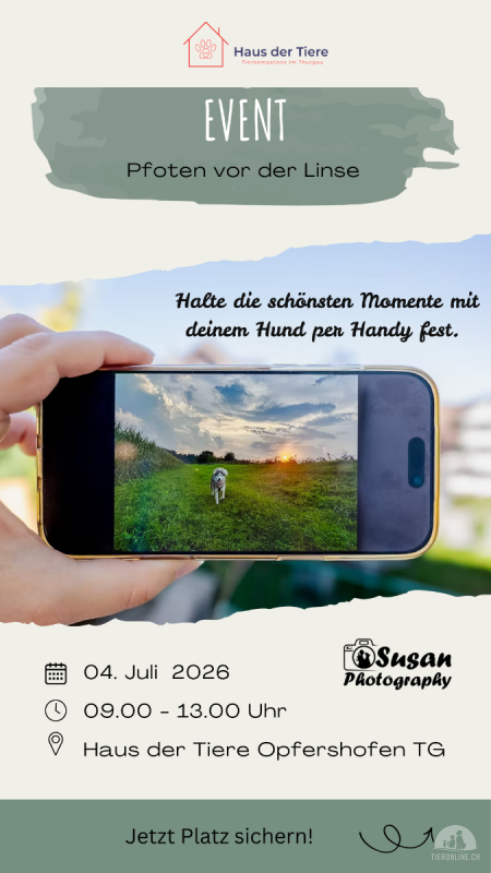 Pfoten vor der Linse - Handy statt Kamera by SusanPhotography