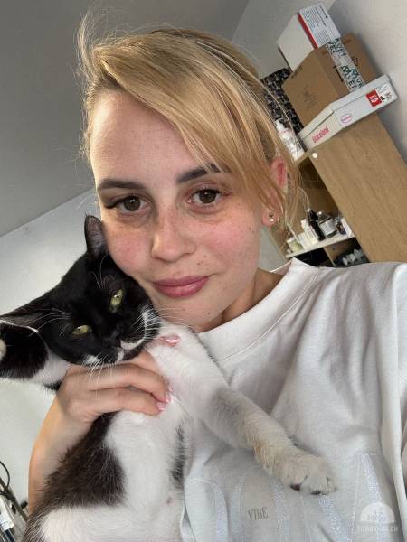 Katzen Ausland