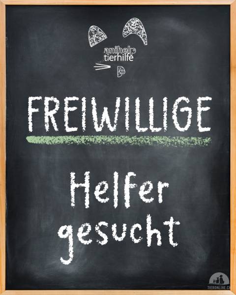 Freiwilligenarbeit für Tiere