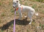 Sunny – im letzten Moment gerettet