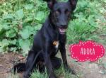 Adora die Wundervolle