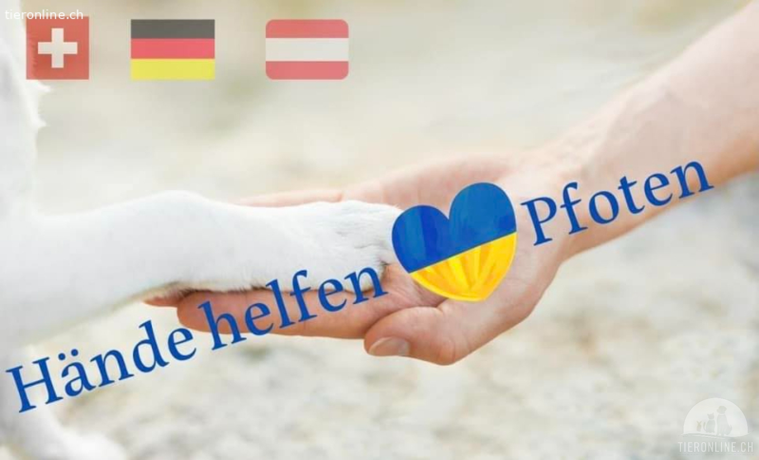 Gesucht: Hundezubehör, welches noch gut im Schuss ist