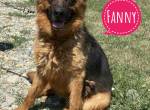 Fanny eine traurige Seele