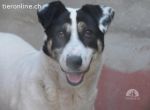Luna Marlene ist perfekt