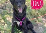 Tina - elegant und süß zur gleich