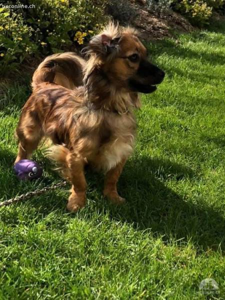 Penny sucht ihren endgültigen Platz