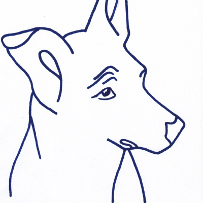Stiftung vergessene Hunde
