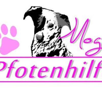 Pfotenhilfe Mogli Martina Rubino
