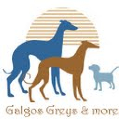 Galgos Greys & more