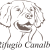 Rifugio Canalba e.V. - avatar