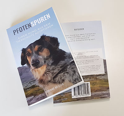 Ratgeber Hund adoptieren