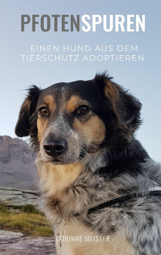 Hund adoptieren