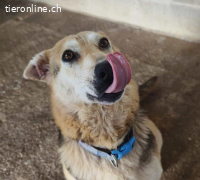 Acuarela - ganz alleine unterwegs