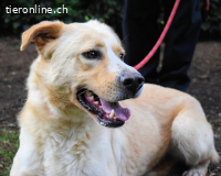 Admeto - Nur ein Wunsch: endlich nach Hause!