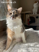 ADRIANA - SO ZART, SANFT UND GANZ LIEBES MAEDCHEN