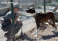 Aire - Liebenswert und dem Menschen zugewandt