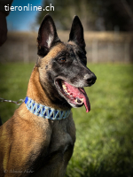 Aktives Zuhause gesucht