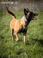 Aktives Zuhause gesucht