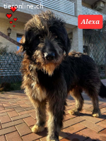 Alexa hat alles verlohren und sehnt sich nach Liebe